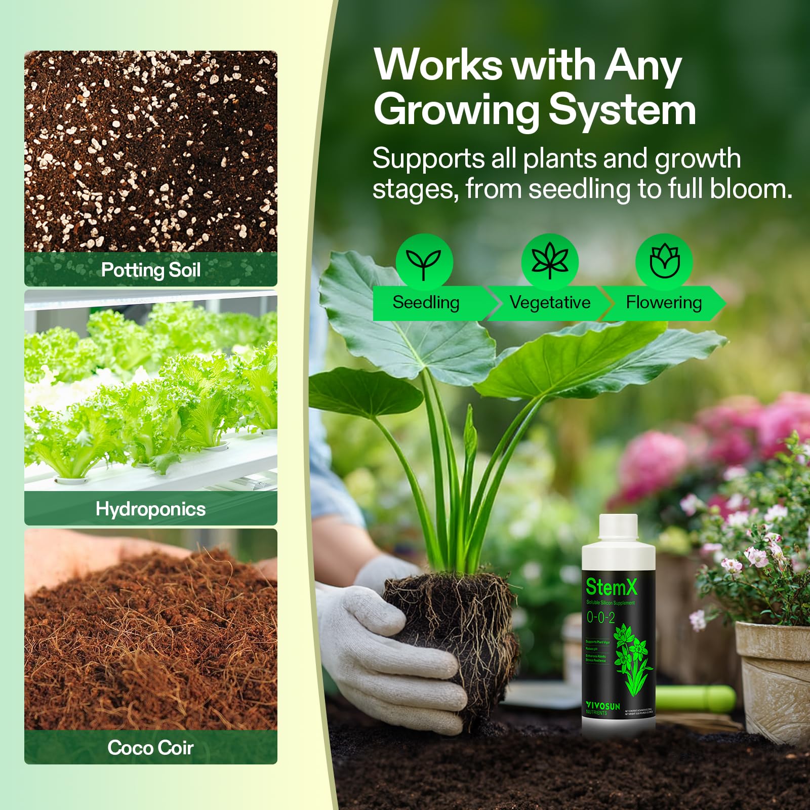 VIVOSUN StemX ph-balance visuals explain stable nutrient mix for roots