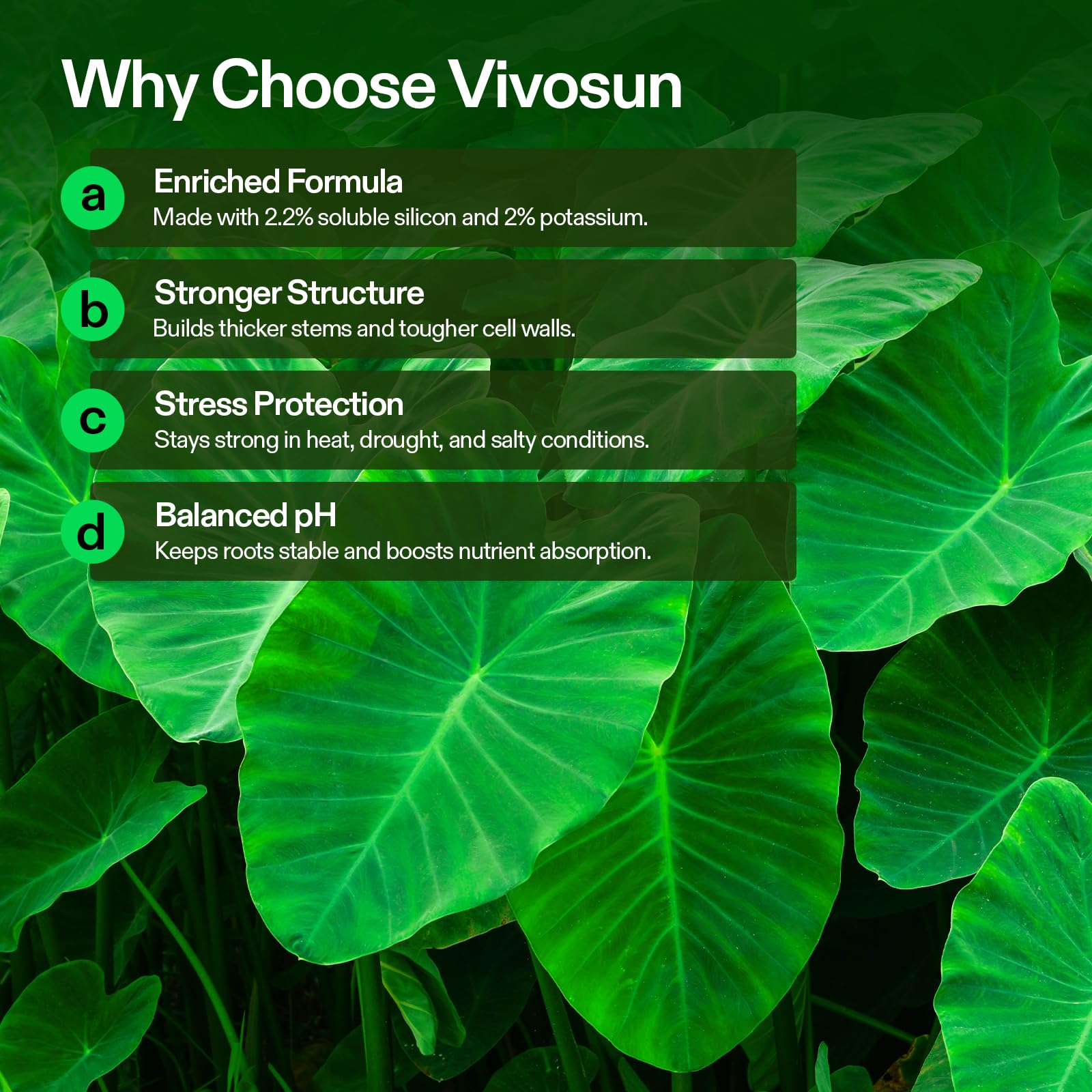 VIVOSUN StemX stem-strength image highlights thicker stems for better support