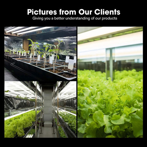 VIVOSUN energy-efficient T5 lights reduce heat in small grow tents