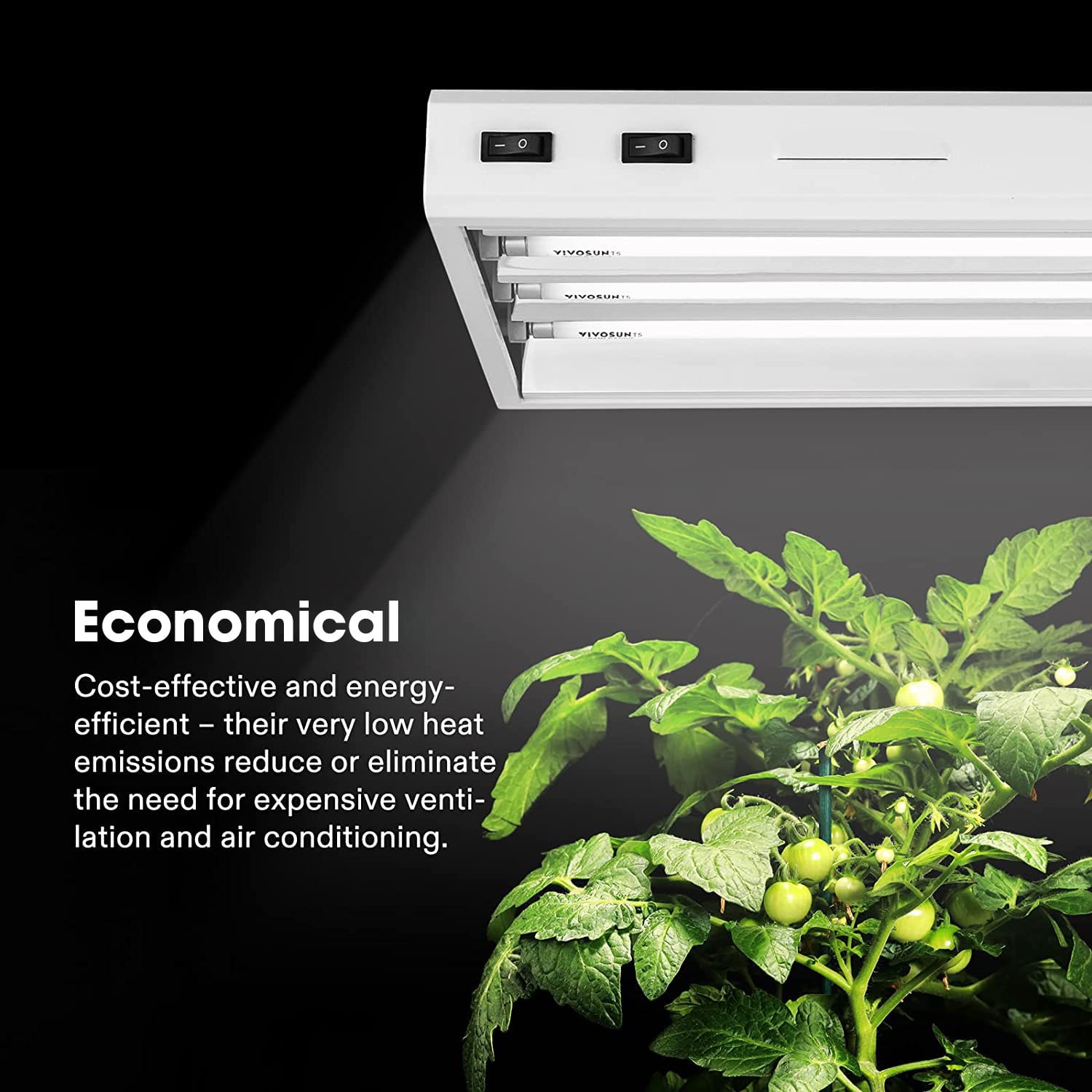 VIVOSUN T5 indoor garden setup shows compact grow space lighting.