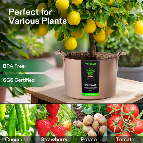 Tan VIVOSUN grow bags blend with outdoor spaces
