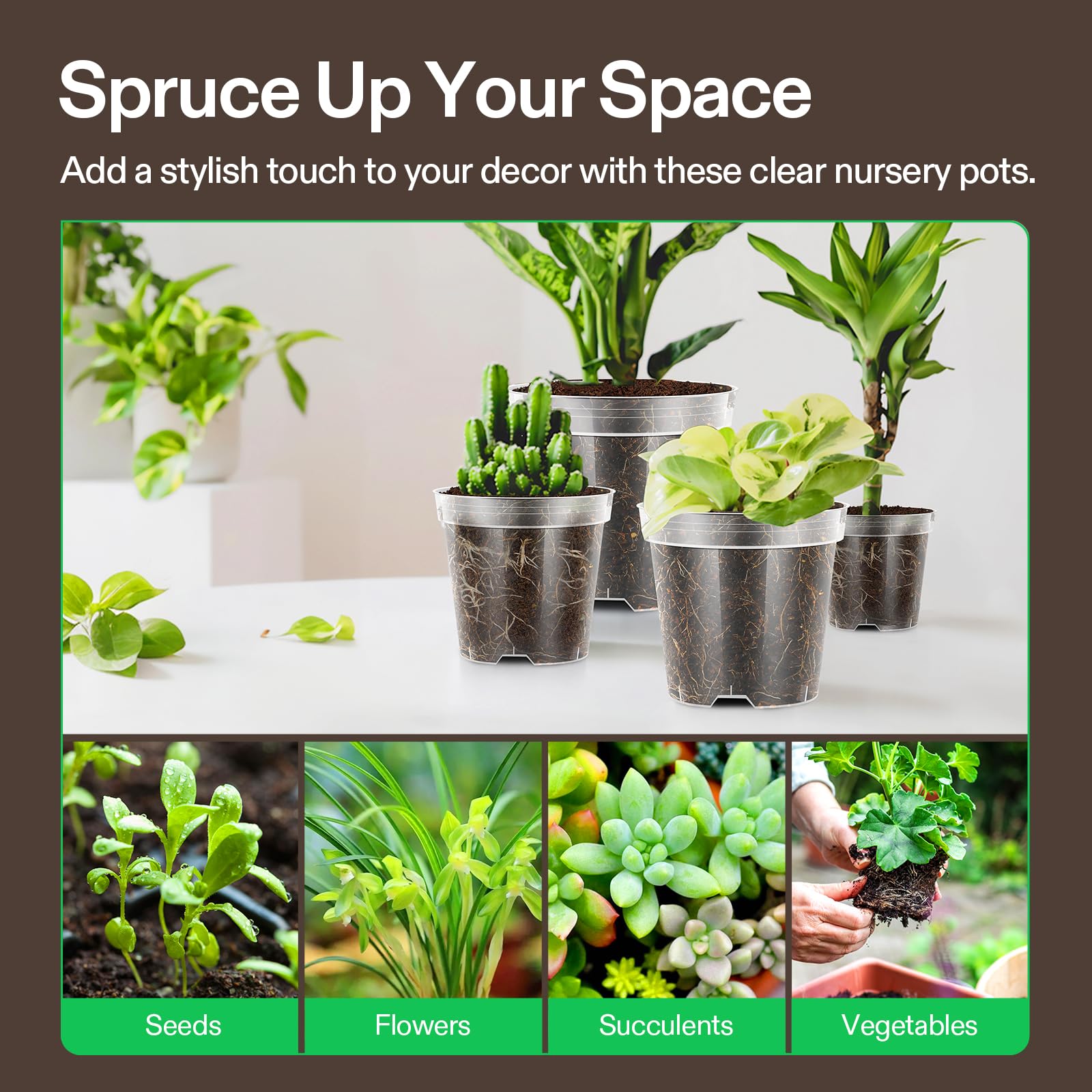 VIVOSUN transparent pots provide easy care checks and neat display.