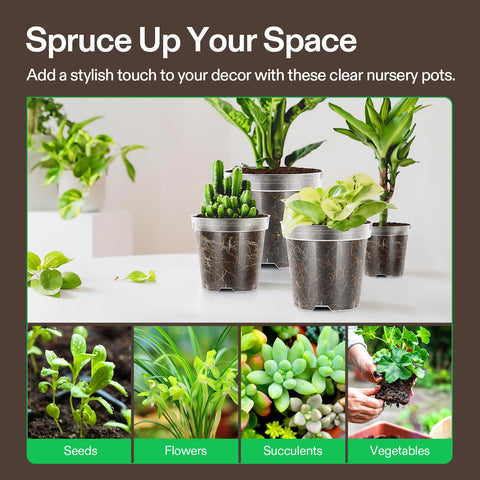VIVOSUN transparent pots provide easy care checks and neat display.