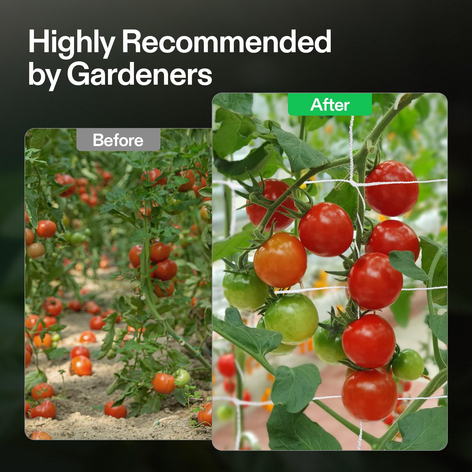 VIVOSUN trellis netting supports cucumbers and berries without sagging