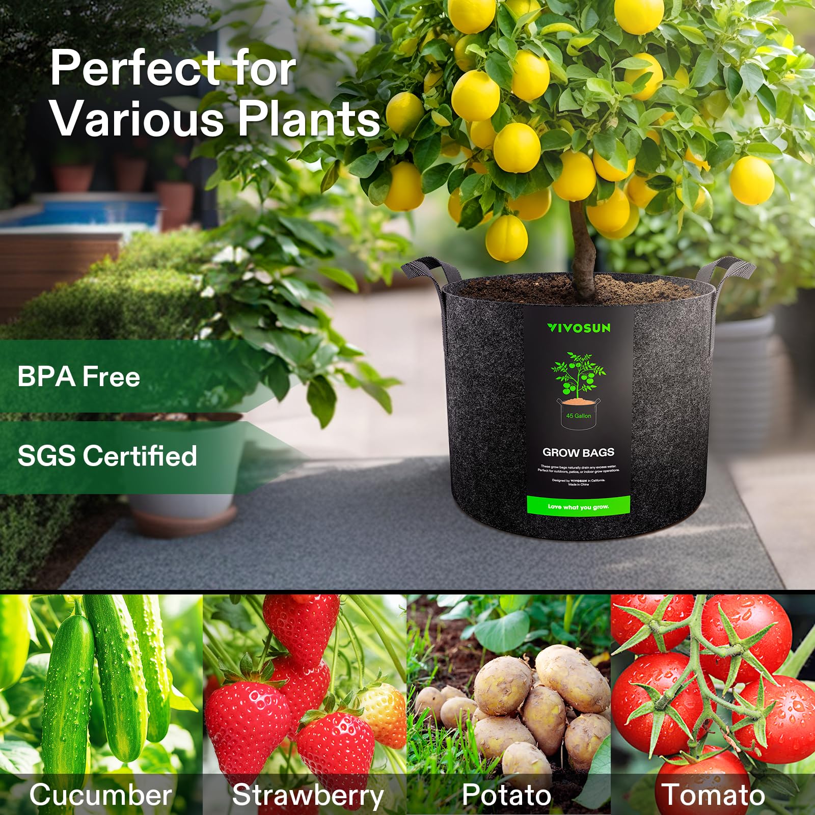 VIVOSUN grow bag used for vegetables and plants in a garden setting.