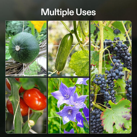 VIVOSUN versatile trellis works well for cucumbers, tomatoes, and berries.