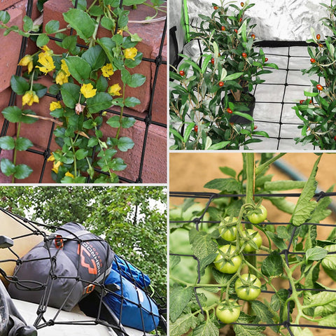 VIVOSUN vertical-growing garden structure helps maximize space in small beds