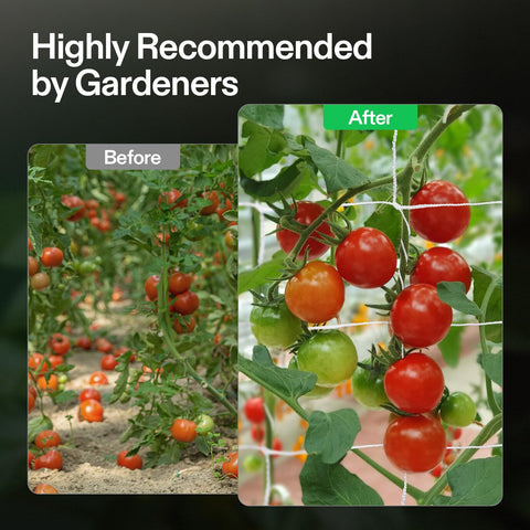 VIVOSUN vertical-horizontal gardening netting helps maximize space