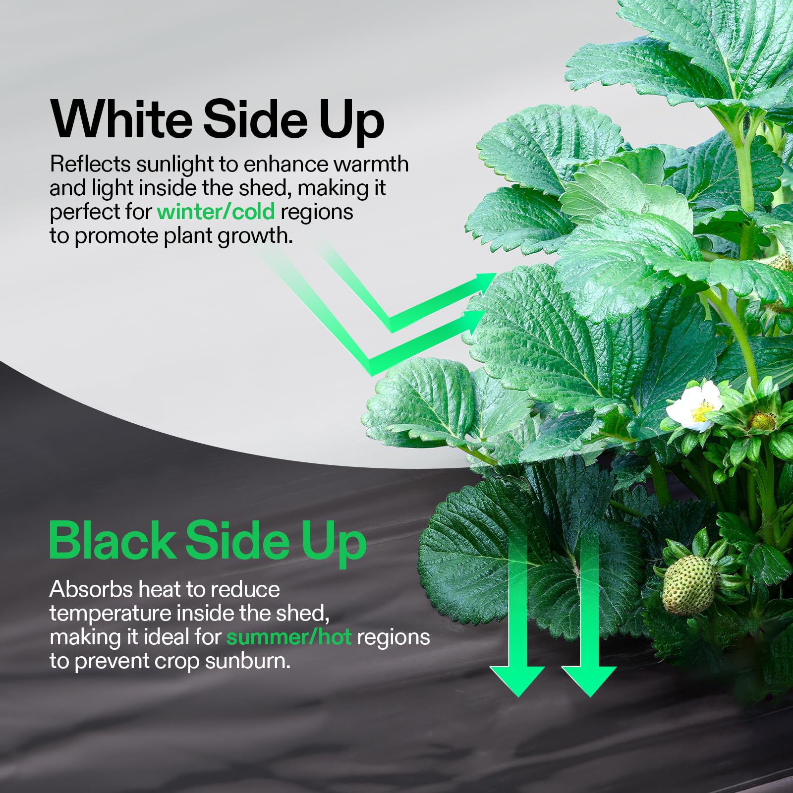 VIVOSUN white side offers high reflectivity to maximize light efficiency.