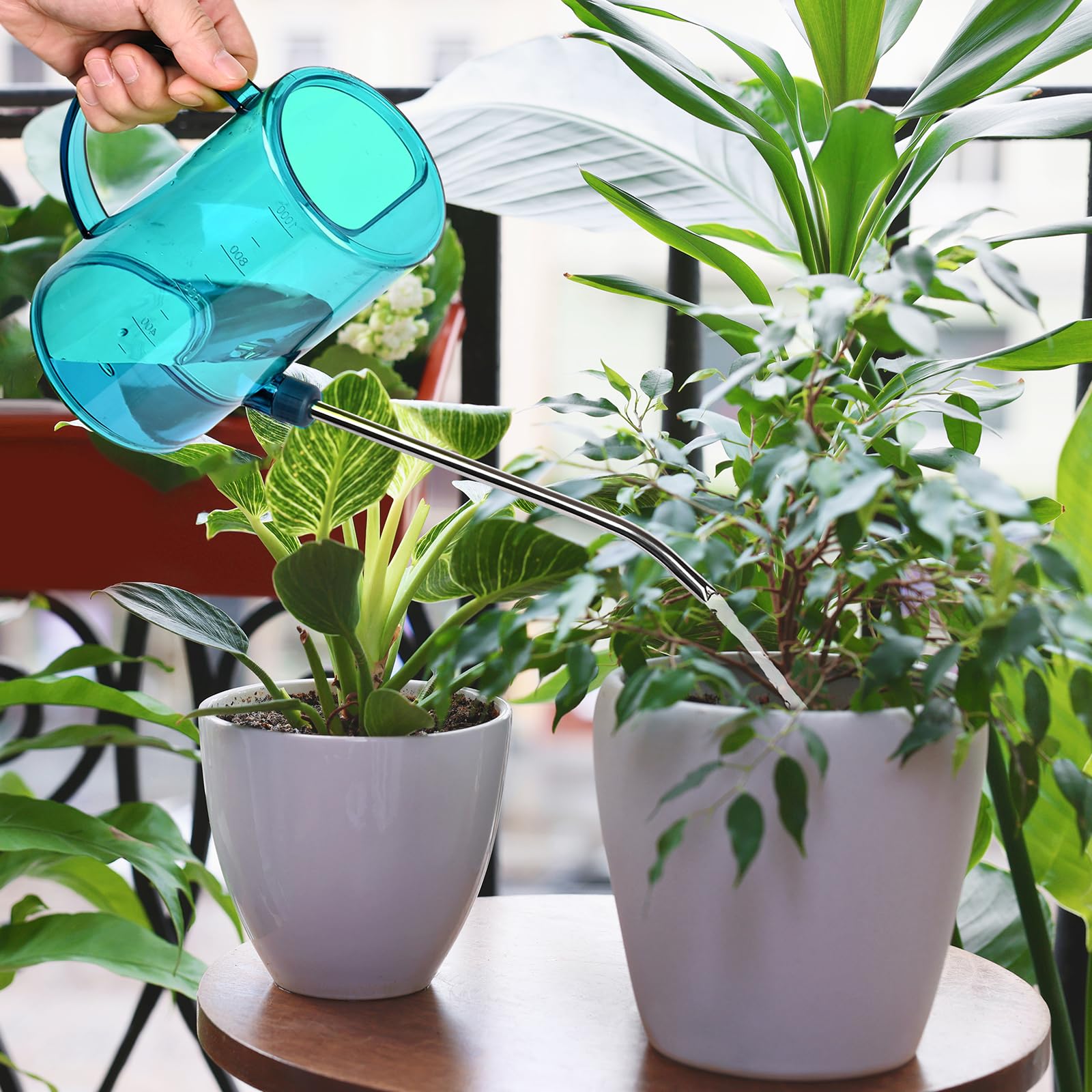 VKPLITE modern rainbow design adds a stylish touch to indoor care