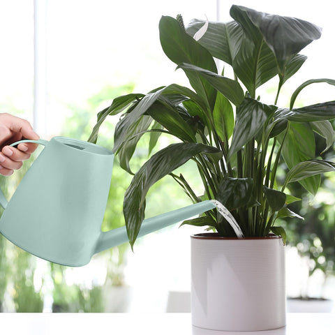 VKPLITE light-green design blends with garden decor.