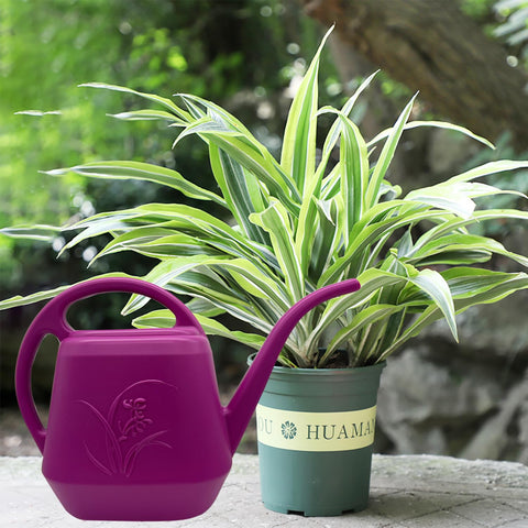 VKPLITE in-use rose red watering can tending balcony pots with ease