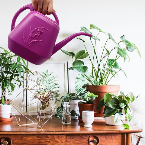 VKPLITE recyclable plastic watering can rose red durable and lightweight