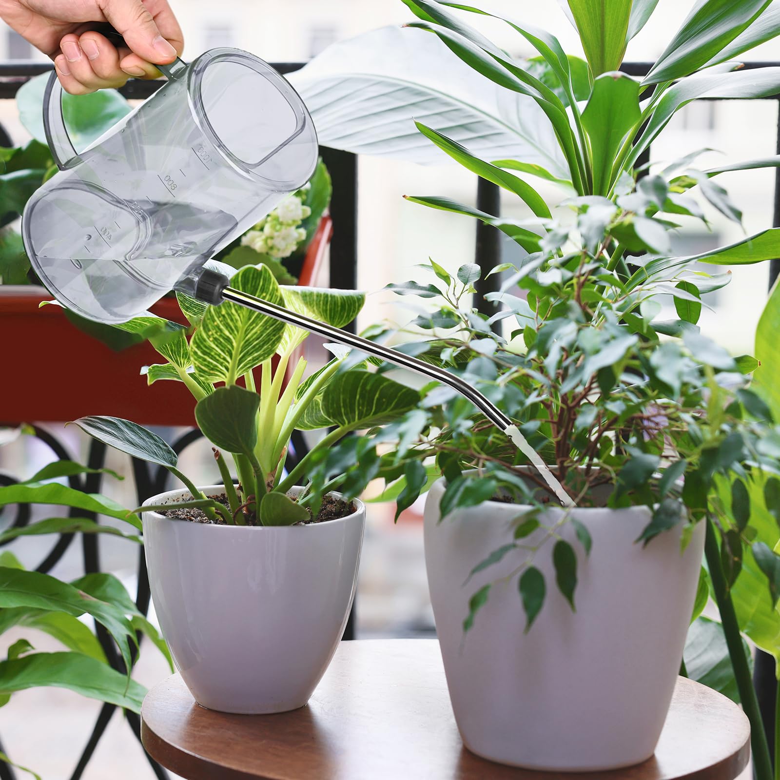 VKPLITE rainbow plastic design adds vibrant style to plant care