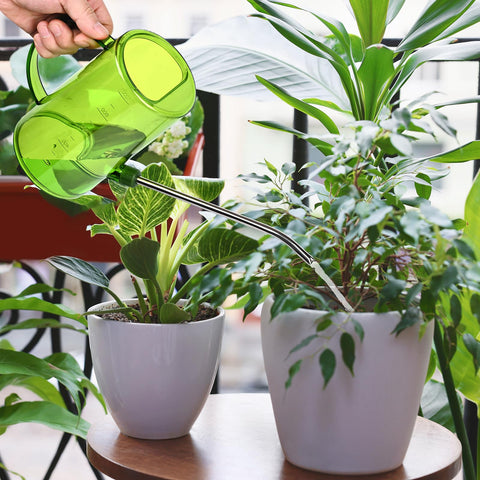 VKPLITE rainbow plastic design adds color to indoor plant care