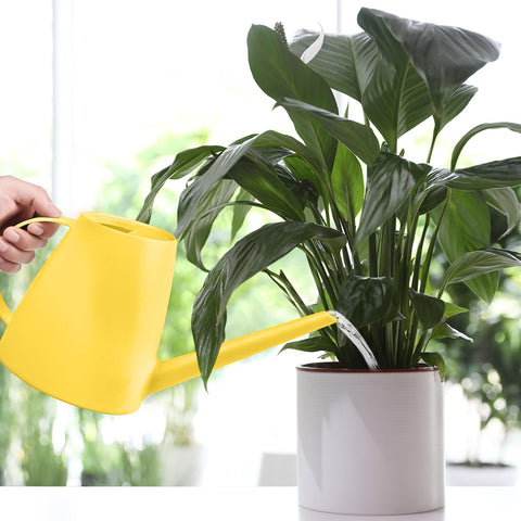 VKPLITE yellow watering can full bottle ready for watering tasks