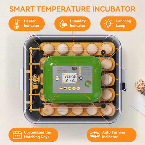 VNRFEIU incubator suited for home and school use