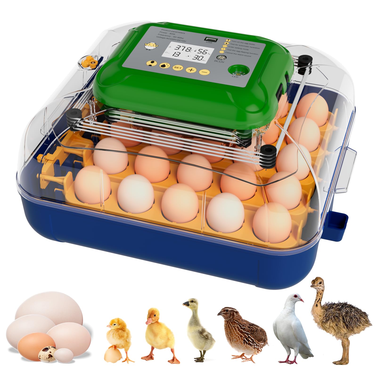 VNRFEIU 25-egg incubator lid view for easy embryo monitoring