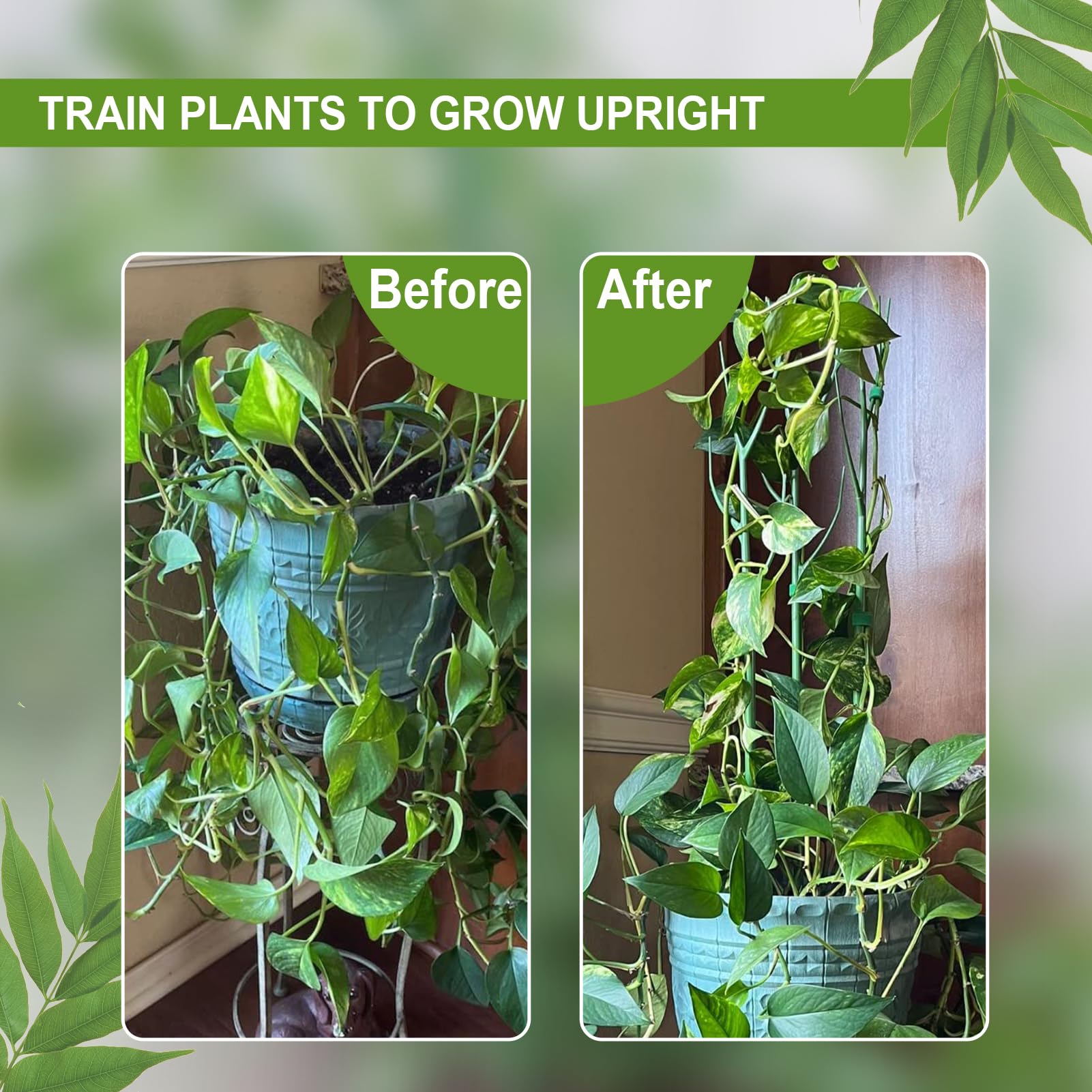 Vocray large and small plant clips simplify managing vines