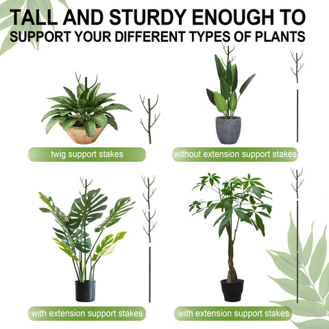Vocray Monstera support sticks prevent stem bending and crowding