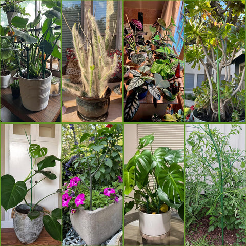 Vocray suitable for potted plants, flowers, and houseplants