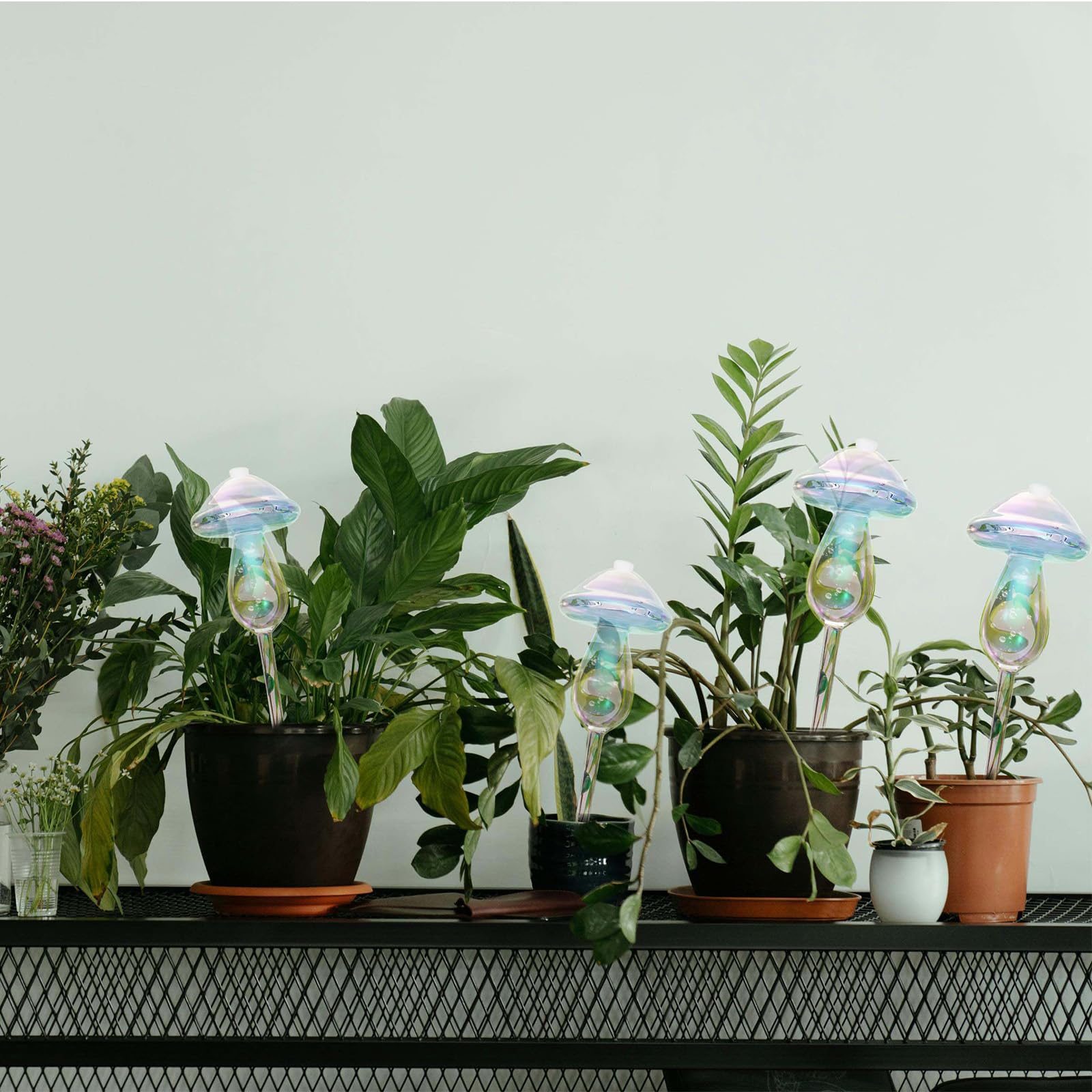 Vodhord gift-ready plant watering bulbs for busy plant lovers