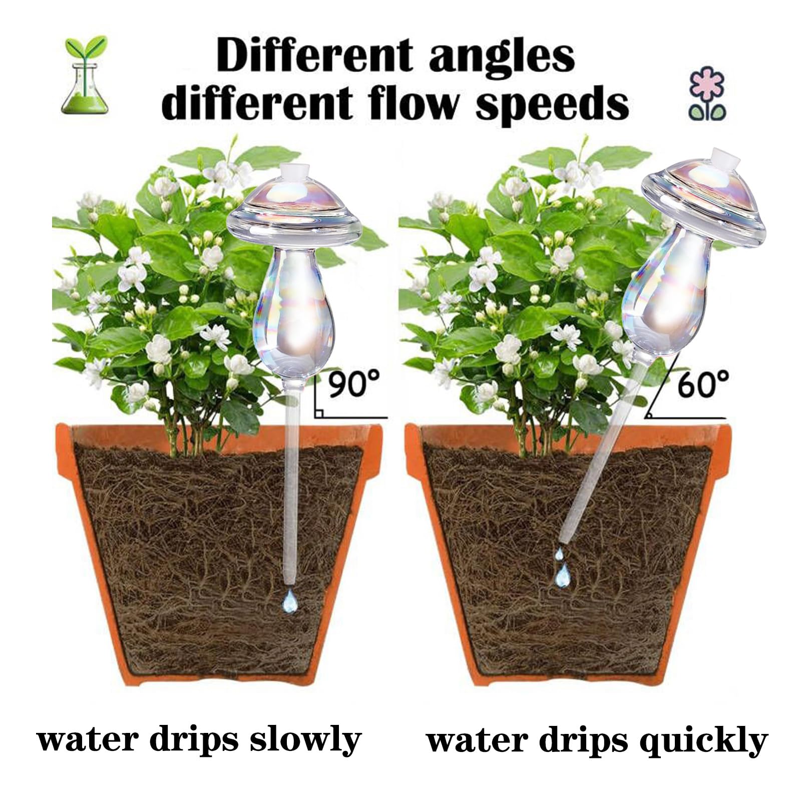 Vodhord plant watering bulbs for garden and office use