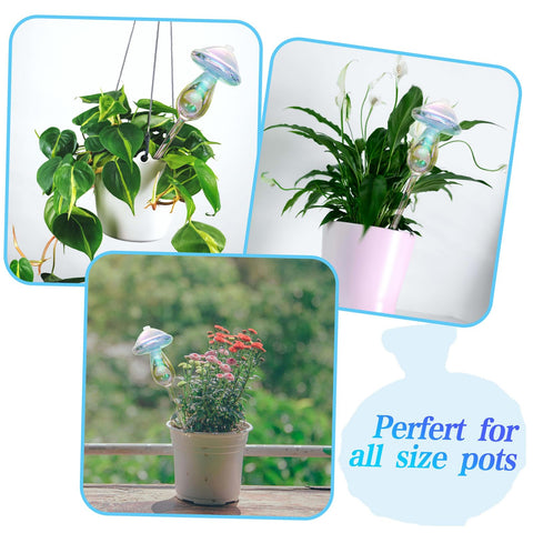 Vodhord glass globes measure 9.84 inches for scalable use