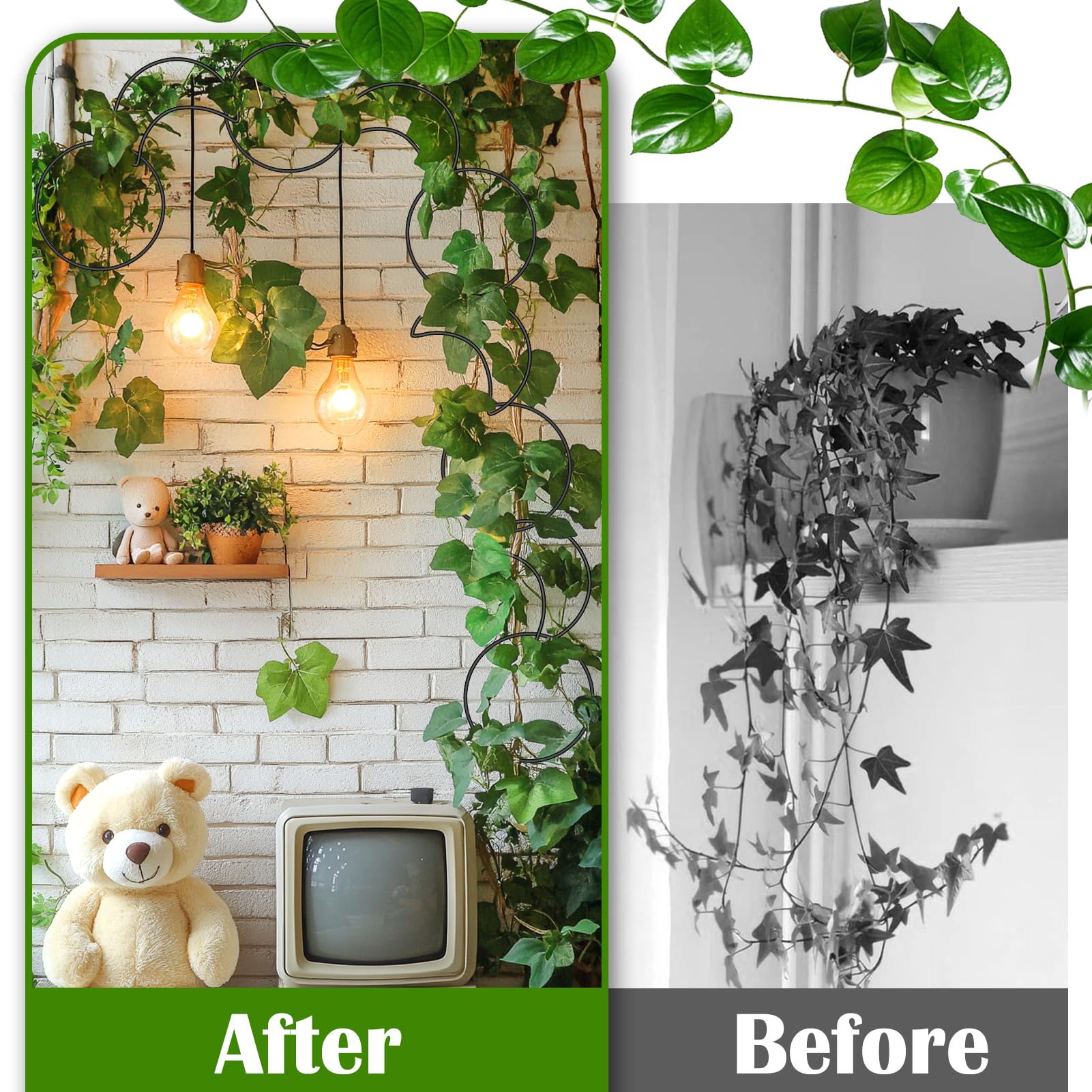 Vodolo sun and moon wheel connections guide climbing vines.