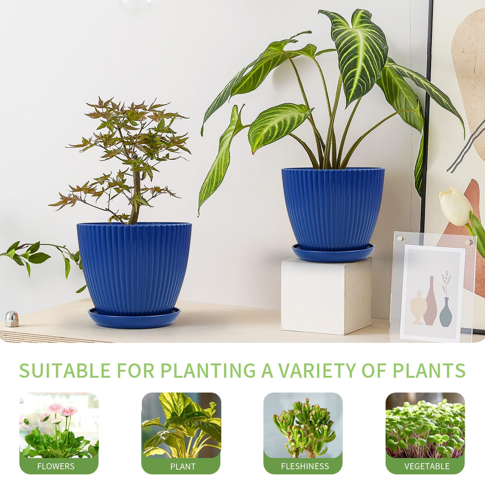 Vodotion six-size planters in dark blue suit varied plant types and spaces.