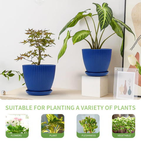 Vodotion six-size planters in dark blue suit varied plant types and spaces.
