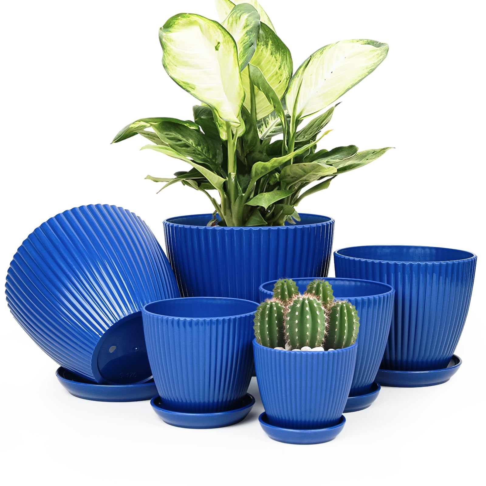 Vodotion indoor plant pots with saucers in dark blue protect surfaces while showcasing plants.