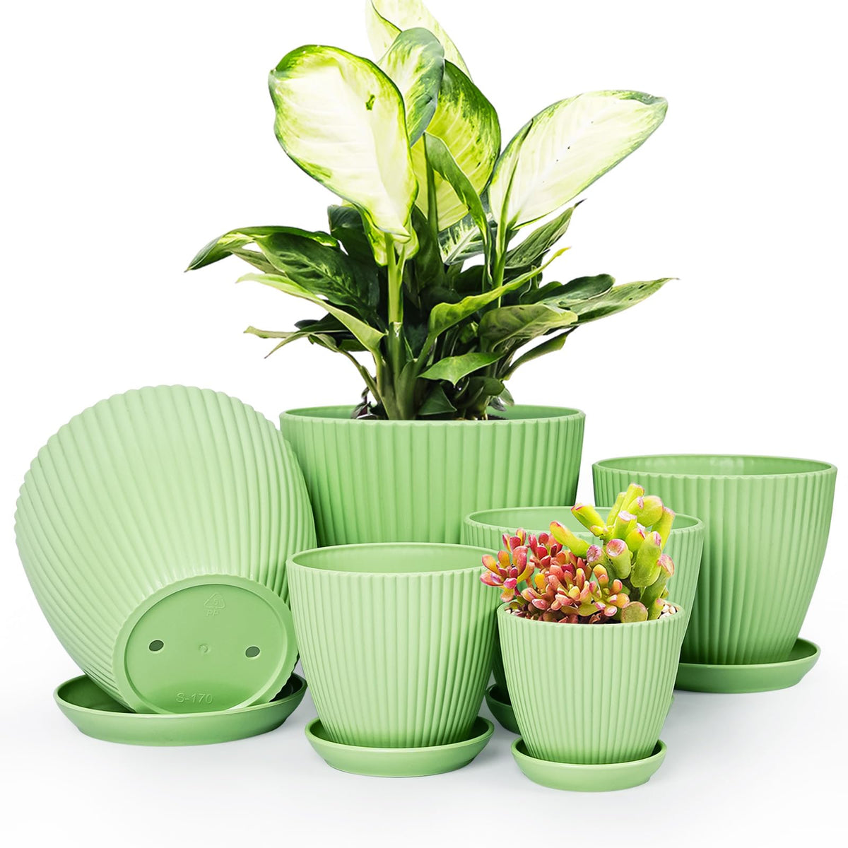 Vodotion plant pots with saucers, six-pack, ideal for indoor gardening.