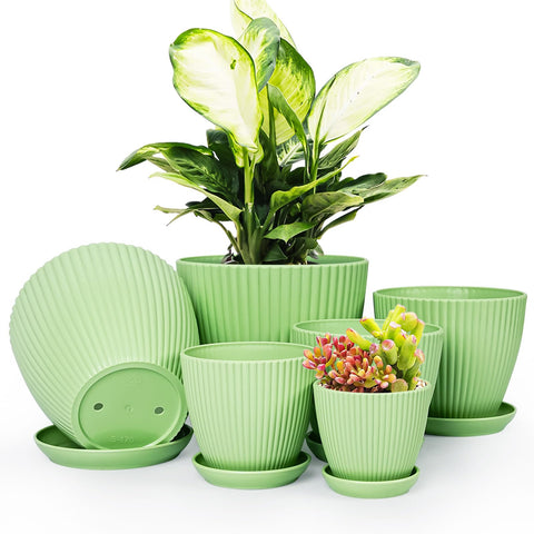 Vodotion plant pots with saucers, six-pack, ideal for indoor gardening.