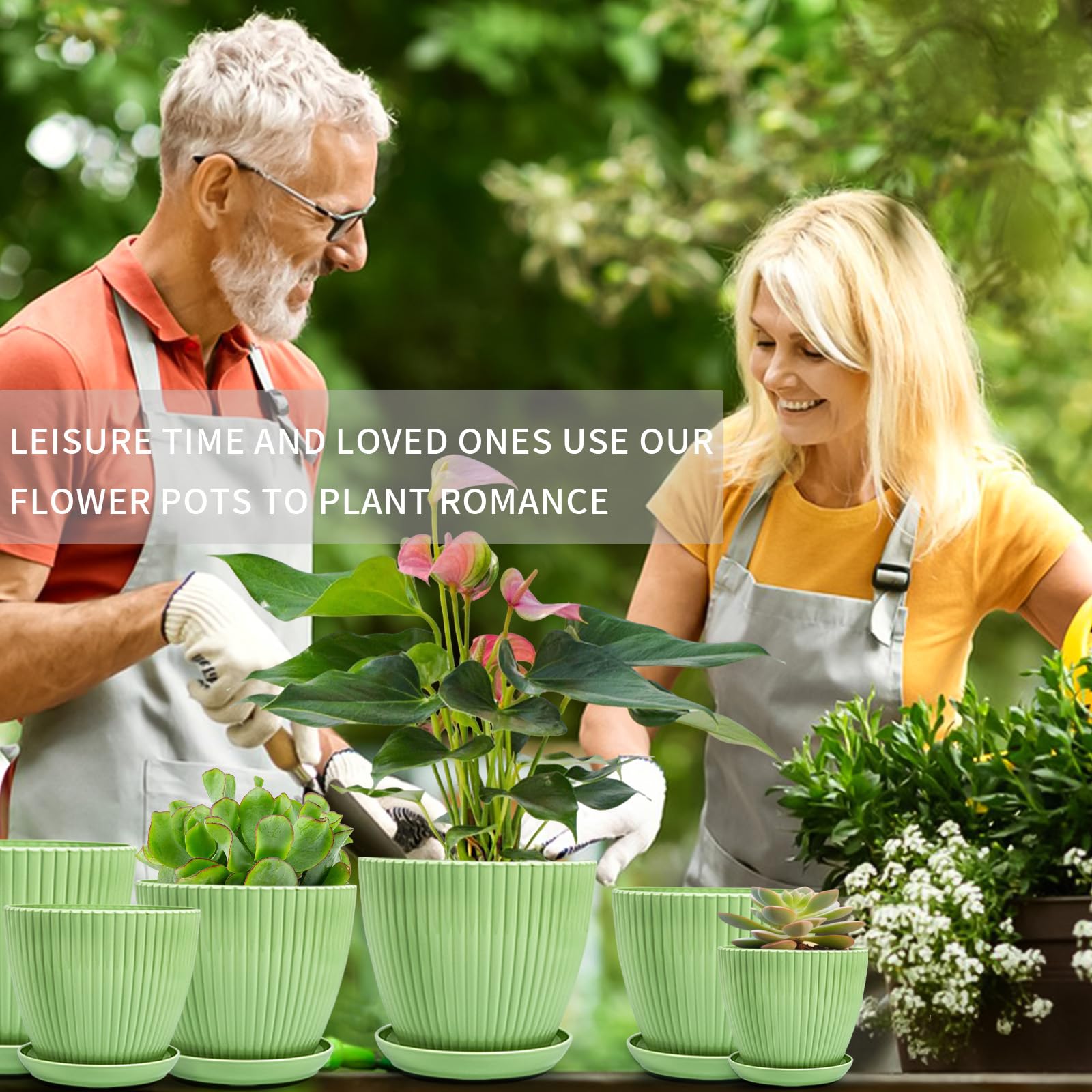 Vodotion planters in multiple sizes for flexible indoor arrangements.