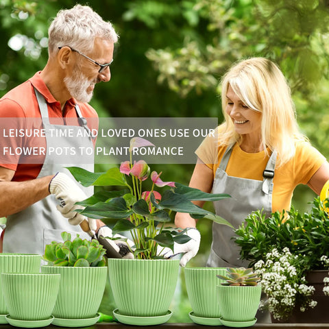 Vodotion planters in multiple sizes for flexible indoor arrangements.