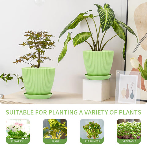 Vodotion plastic planters with a matte finish to suit modern decor.