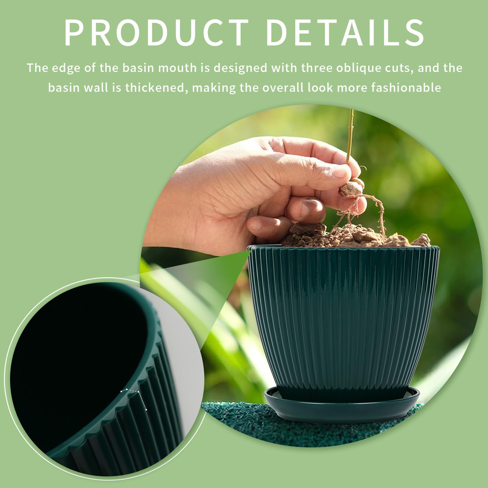 Vodotion six-pots-pack display for versatile indoor planting