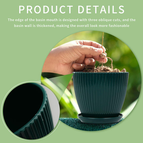 Vodotion six-pots-pack display for versatile indoor planting