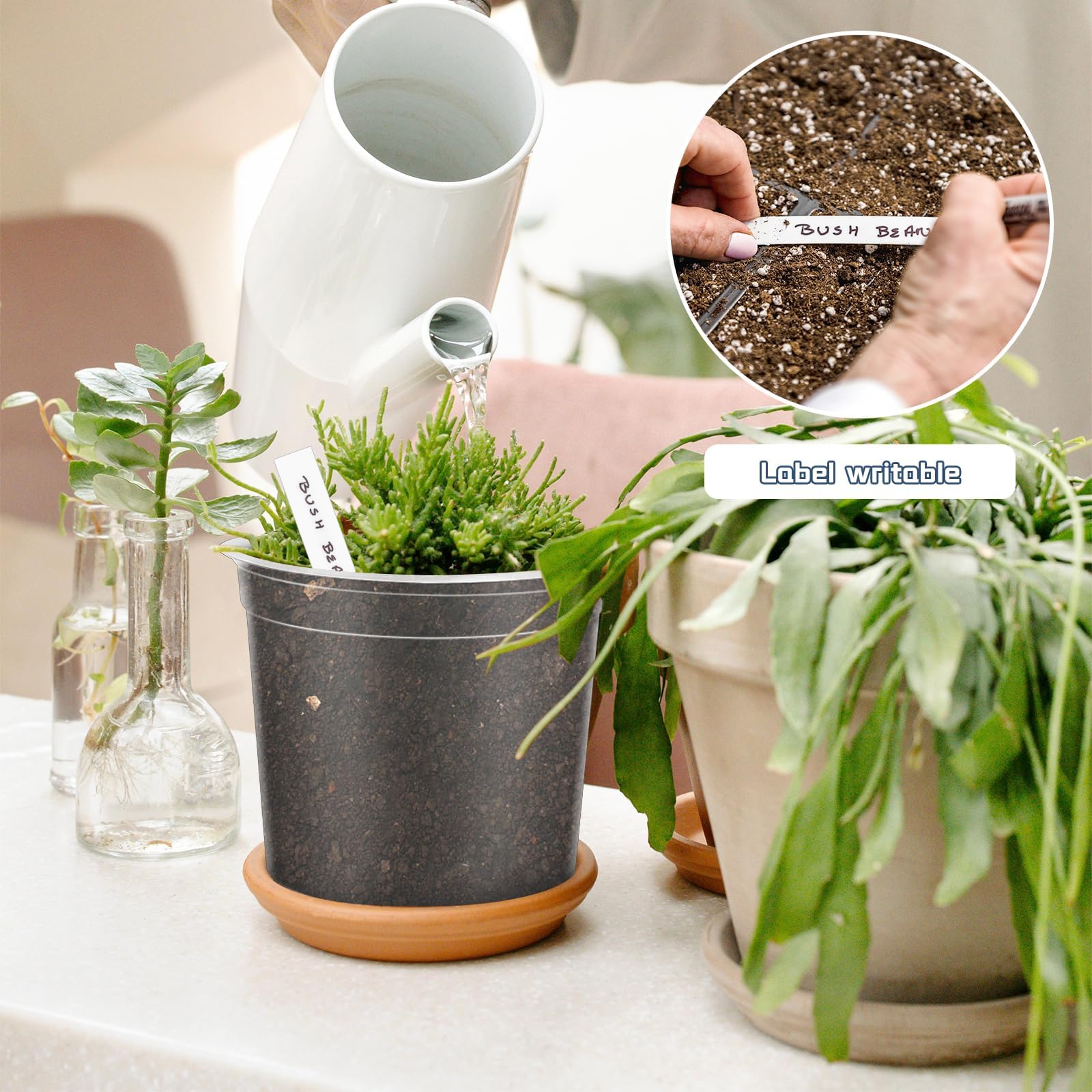 VOKOY drainage holes prevent overwatering and support root health