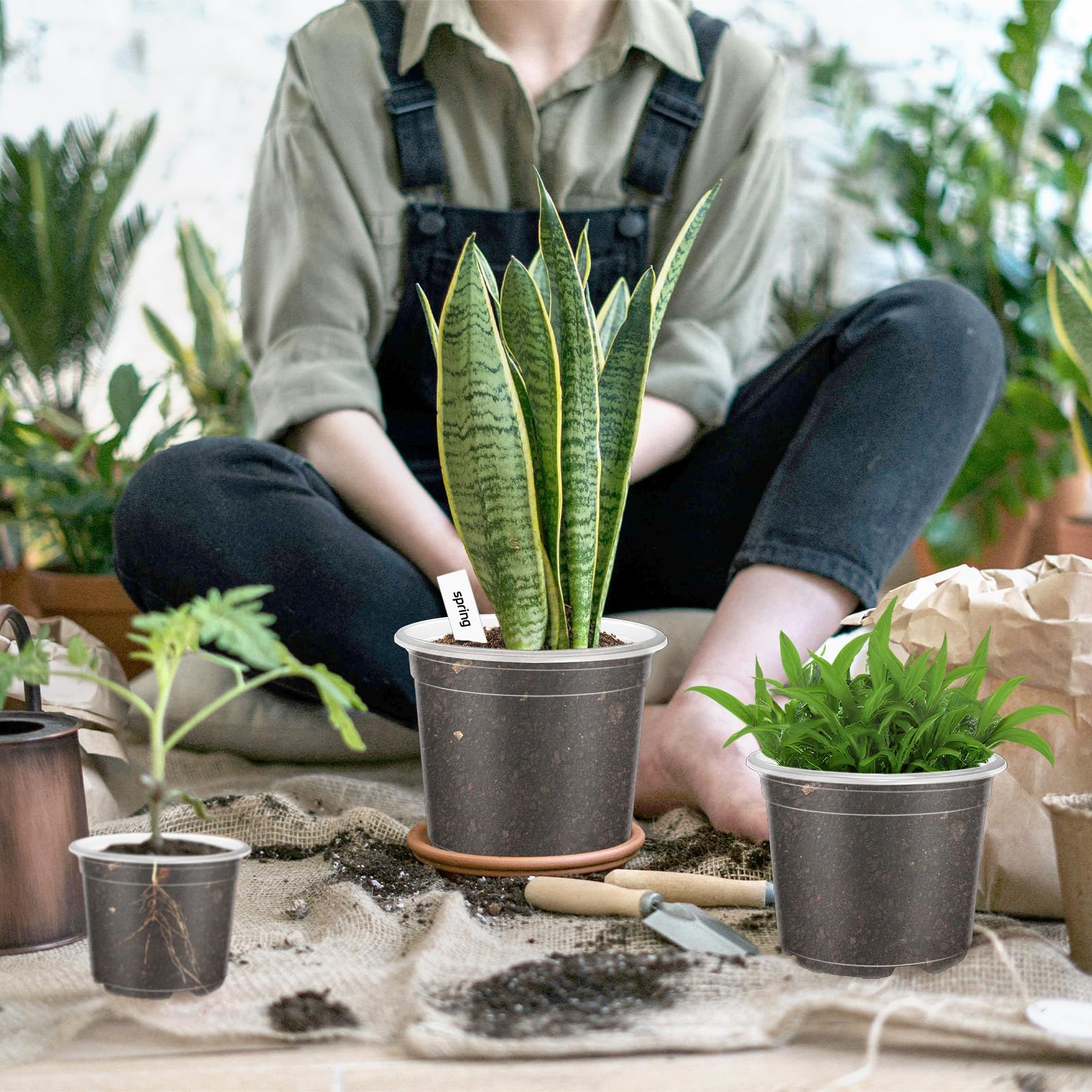 VOKOY transparent pots ideal for indoor and outdoor use