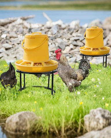Vokvaktak easy install chicken coop accessory with quick setup