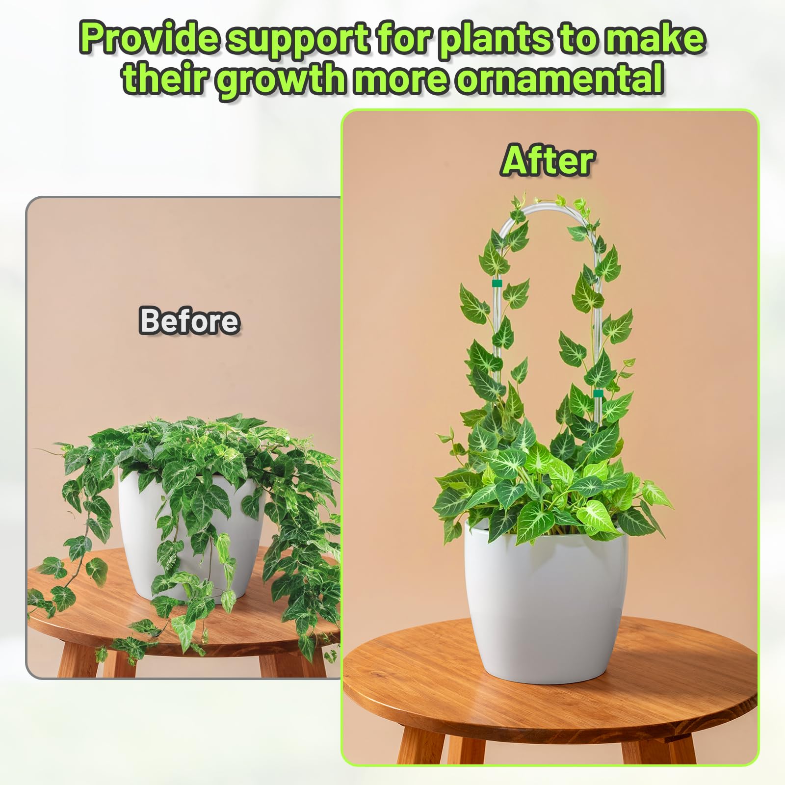 Vokvaktak Monstera trellis in transparent acrylic boosts vertical growth.