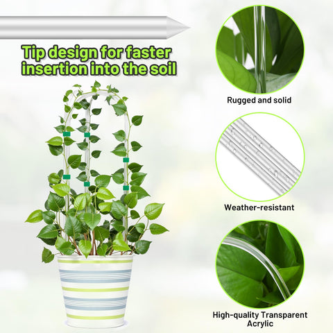 Vokvaktak Pothos climbing support in clear acrylic for tidy desk displays.