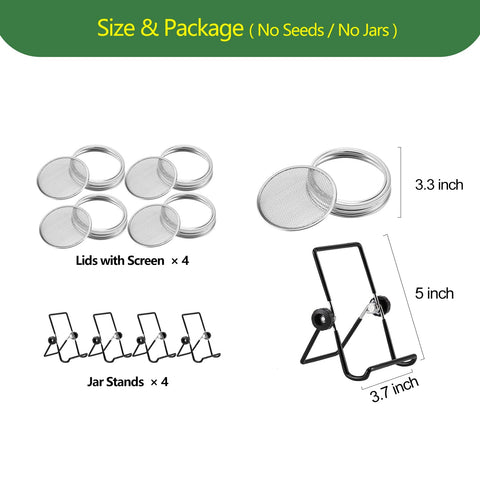 VOLCANOES CLUB family-friendly sprouting kit for hands-on learning