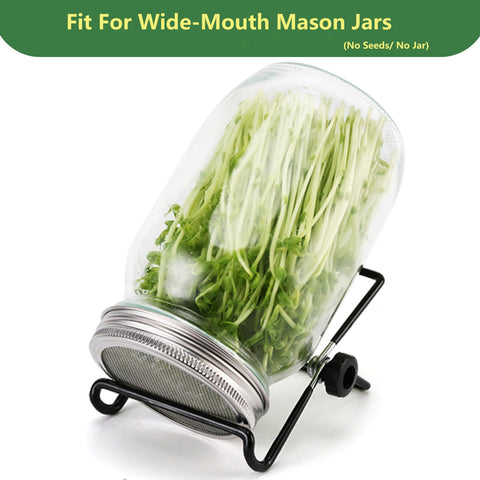 VOLCANOES CLUB jar stands adjusted to optimize drainage and airflow