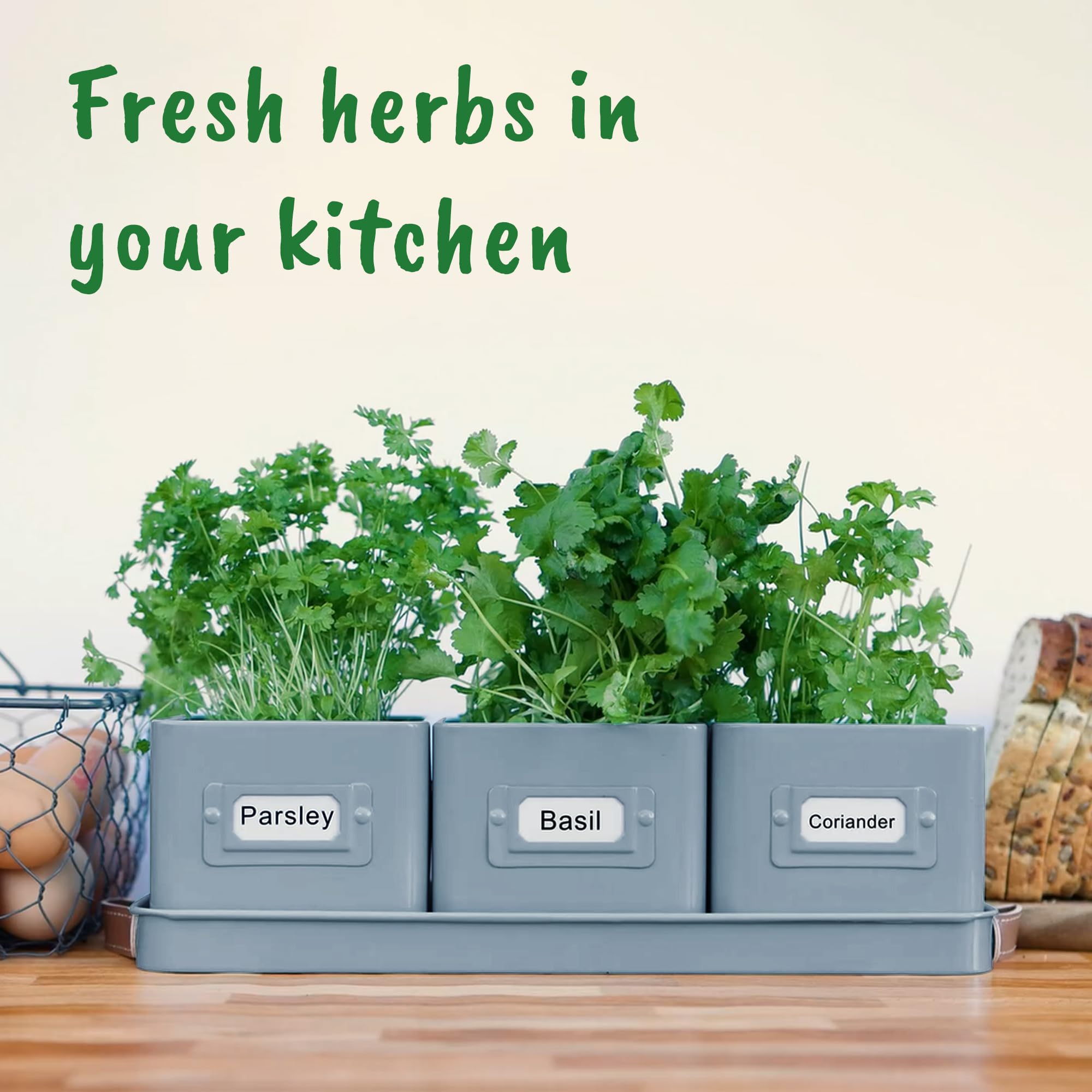 Volila compact indoor herb garden set fits small kitchens