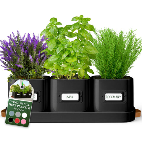 Volila herb planter indoor 3-pack in black pots with drainage holes for a compact windowsill garden