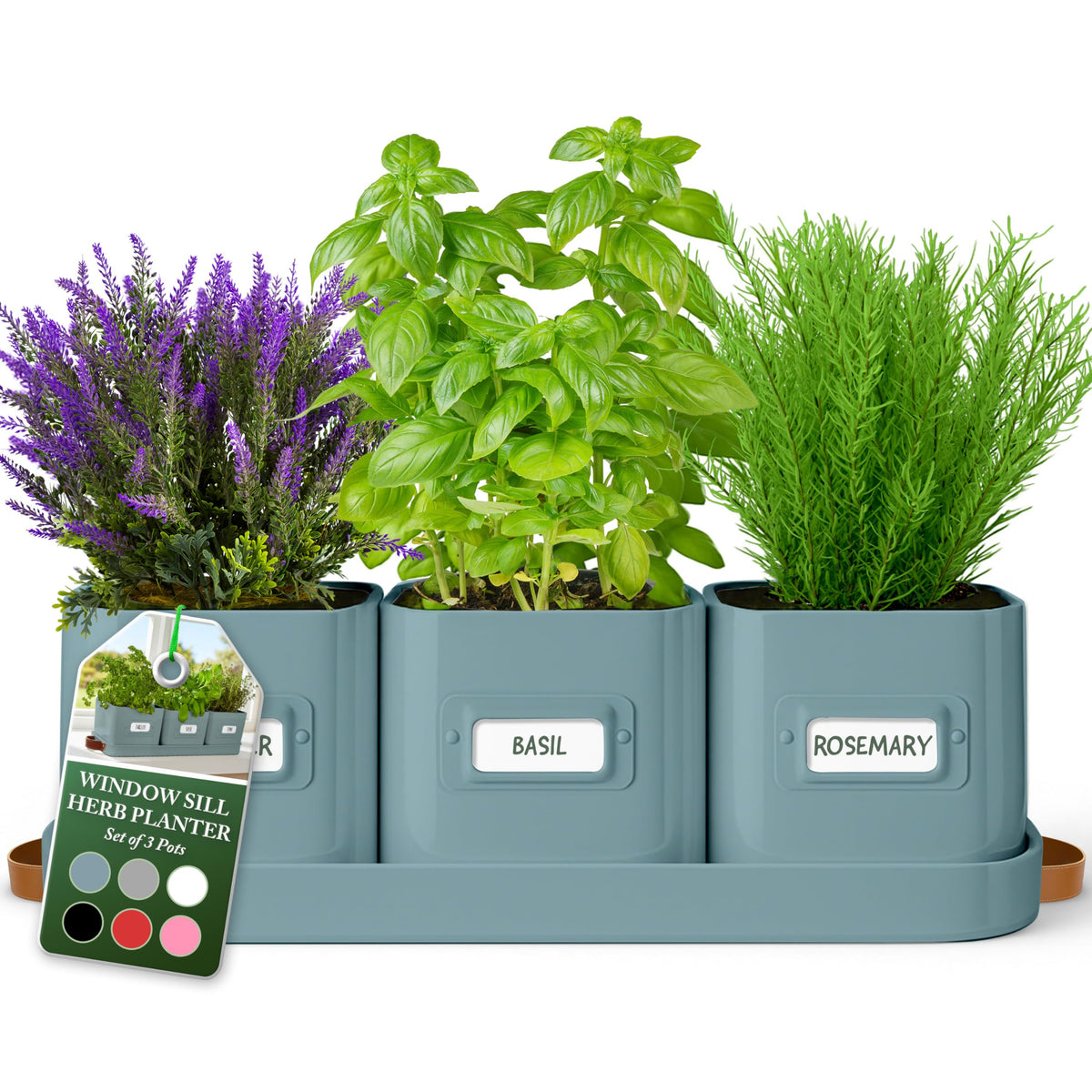 Volila herb planter indoor teal pots with leather tray for easy portability