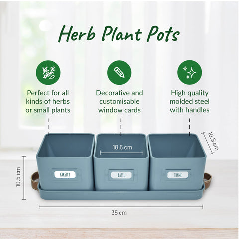 Volila teal blue window-sill pots offering fresh herbs and compact decor